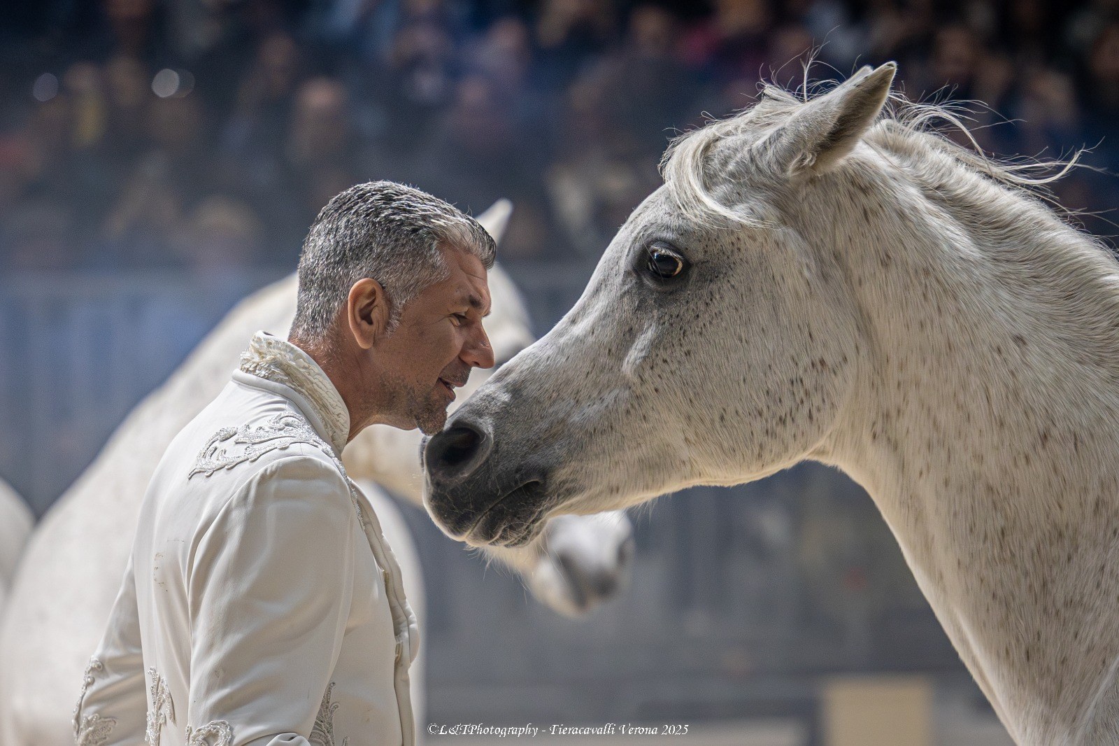 Fieracavalli Verona